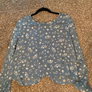 Sheer Long Sleeve Crop Top